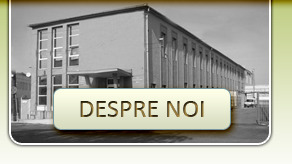 Despre